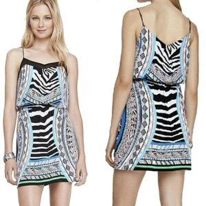 Express Geometric Zebra Print Multi-Color Dress | S